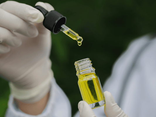 Close-up image of a gloved hand holding a dropper with yellow CBD oil above a small glass bottle, symbolizing precision and purity in cannabis wellness products.