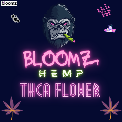 Bloomz